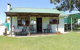Cicada Self Catering Cottage