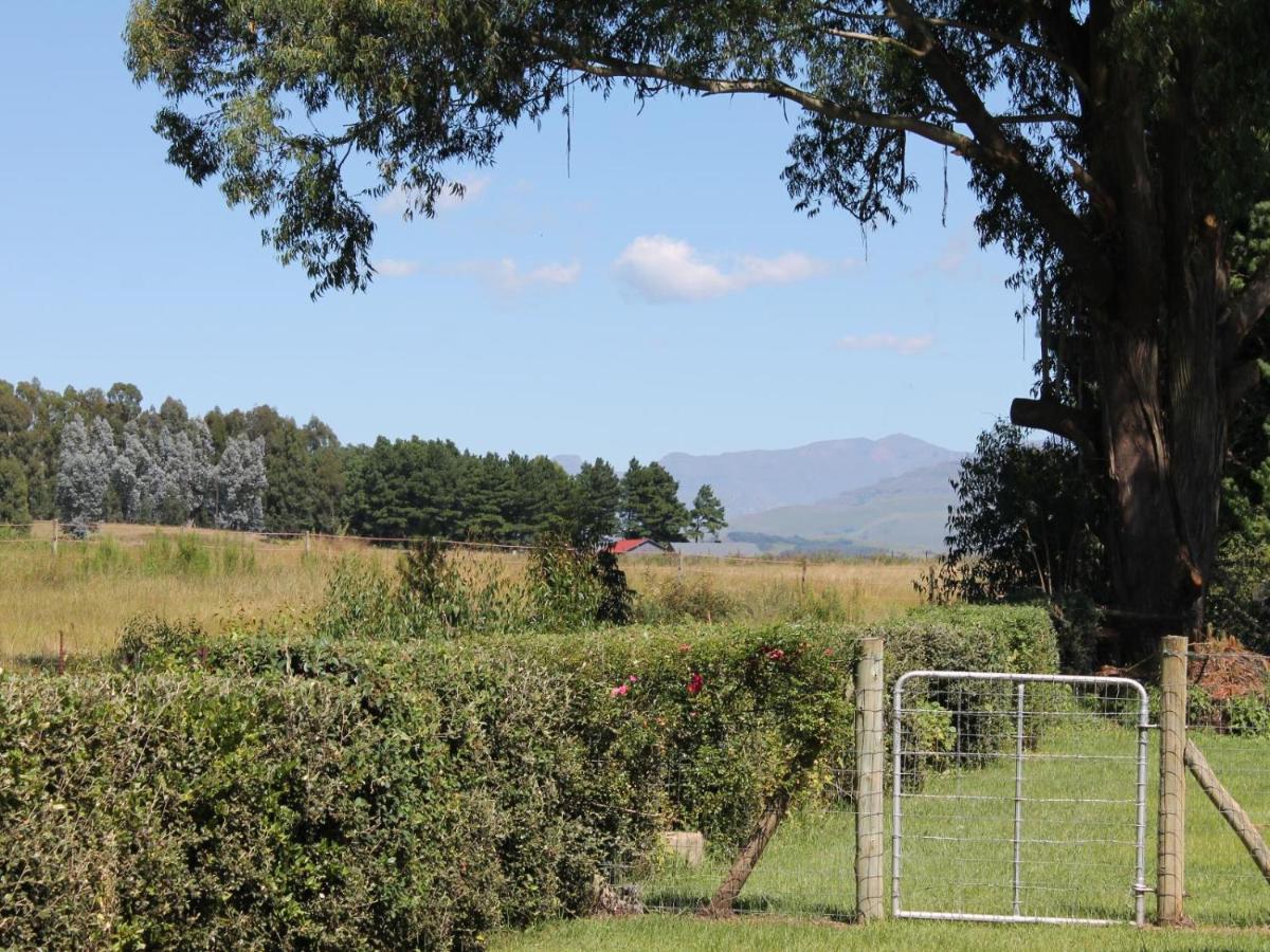 Cicada Self Catering Cottage Underberg Buitenkant foto